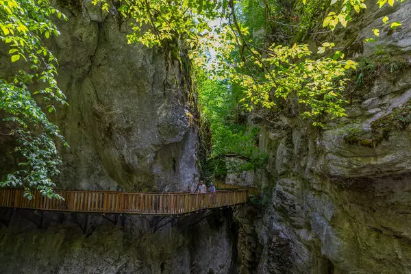 stock image Horma Canyon, Kure Mountains National Park, Kastamonu, Turkey. Wooden walking path.