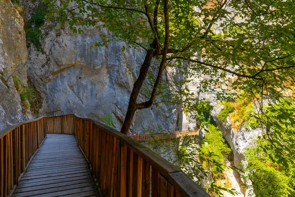 Horma Kanyonu, Kure Dağları Ulusal Parkı, Kastamonu, Türkiye. Tahta yürüyüş yolu.