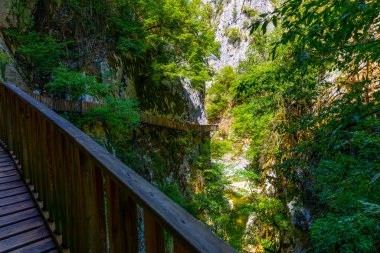 Horma Kanyonu, Kure Dağları Ulusal Parkı, Kastamonu, Türkiye. Tahta yürüyüş yolu.