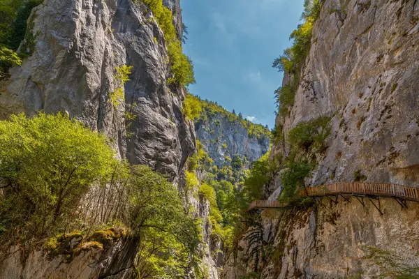 stock image Horma Canyon, Kure Mountains National Park, Kastamonu, Turkey. Wooden walking path.