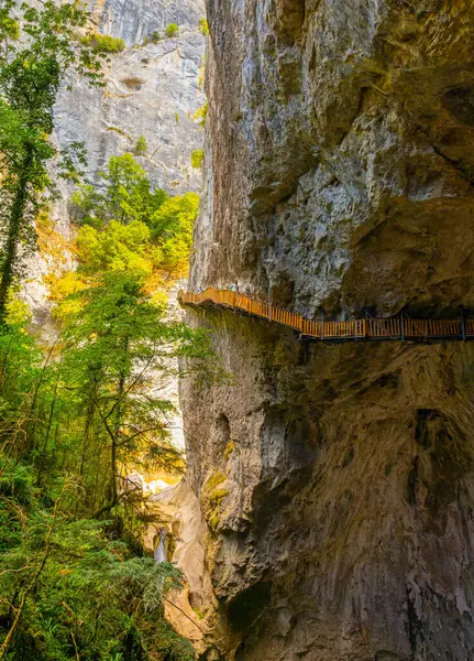 stock image Horma Canyon, Kure Mountains National Park, Kastamonu, Turkey. Wooden walking path.