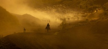 Dağda toz içinde otlayan bir koyun sürüsü var, kahverengi koyunlar, toz, havaya yükselen sisli bir hava var. Koyunlar sıralarda hızlı hareket ediyor Tatvan