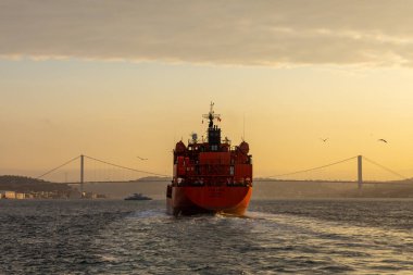 Yolcu ve ticari gemilerin Boğaz ve Boğaz 'dan geçişi