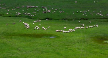 Ordu, Türkiye 'deki Persembe Platosu' nda dağlar ve bulutlarla dolambaçlı akarsu