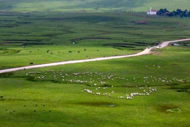 Ordu, Türkiye 'deki Persembe Platosu' nda dağlar ve bulutlarla dolambaçlı akarsu