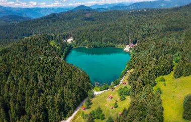 Artvin 'in Savsat ilçesindeki Karagol Gölü, çam ormanlarında yer alan büyük bir alabalık gölüdür..