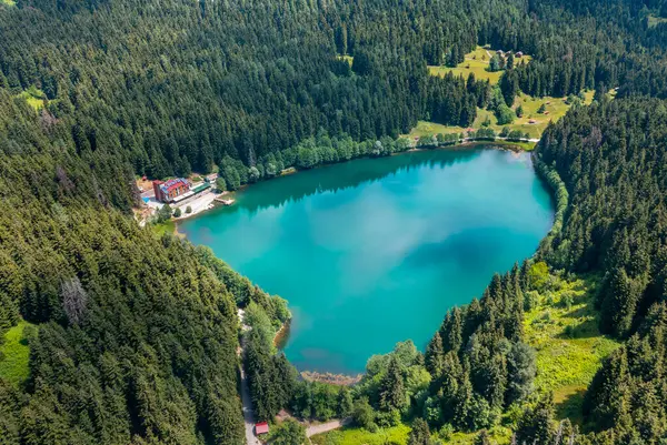 Artvin 'in Savsat ilçesindeki Karagol Gölü, çam ormanlarında yer alan büyük bir alabalık gölüdür..