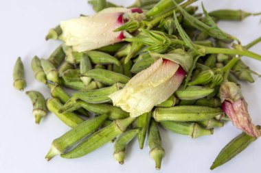 Small size Edirne region okra and okra flower on a white background clipart