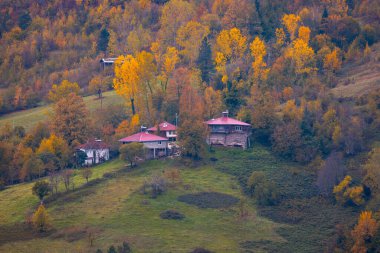 Kastamonu Eyaleti, sonbahar renklerinde eski ahşap evler ve ağaçlar