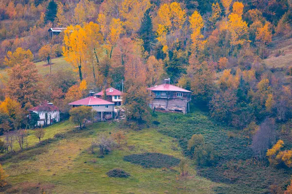 Kastamonu Eyaleti, sonbahar renklerinde eski ahşap evler ve ağaçlar