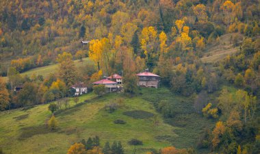 Kastamonu Eyaleti, sonbahar renklerinde eski ahşap evler ve ağaçlar