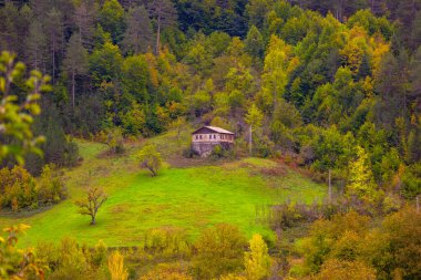 Kastamonu Eyaleti, sonbahar renklerinde eski ahşap evler ve ağaçlar
