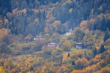 Kastamonu Eyaleti, sonbahar renklerinde eski ahşap evler ve ağaçlar