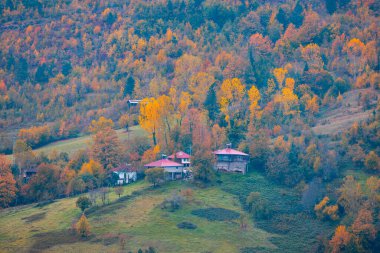 Kastamonu Eyaleti, sonbahar renklerinde eski ahşap evler ve ağaçlar