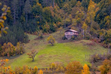 Kastamonu Eyaleti, sonbahar renklerinde eski ahşap evler ve ağaçlar