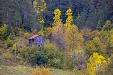 Kastamonu Eyaleti, sonbahar renklerinde eski ahşap evler ve ağaçlar