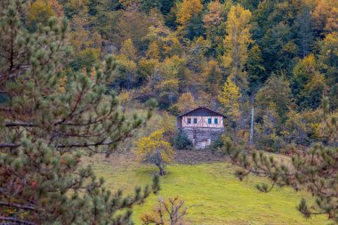 Kastamonu Eyaleti, sonbahar renklerinde eski ahşap evler ve ağaçlar