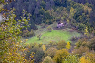 Kastamonu Eyaleti, sonbahar renklerinde eski ahşap evler ve ağaçlar