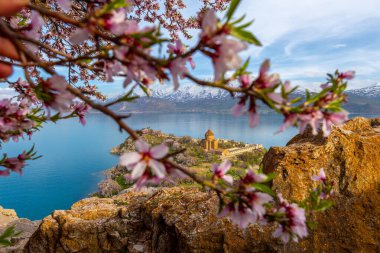 Akdamar Island in Van Lake. The Armenian Cathedral Church of the Holy Cross - Akdamar, Turkey clipart