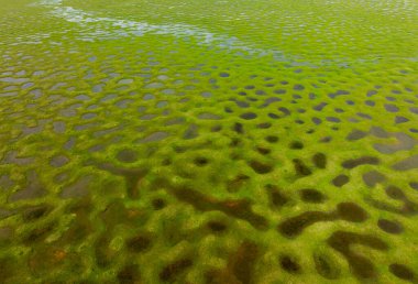 Güzel bir manzara. Karagol yaylası. Sakarya Kara Göl