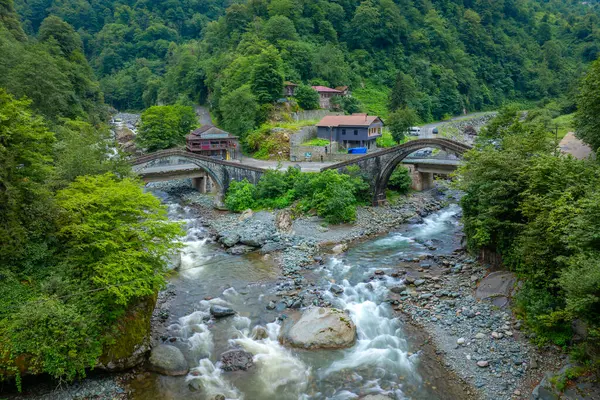 Tarihsel köprüler ve nehirler Firtina nehirleri ve Cifte Köprüsü Türkiye. Eski ve tarihi köprüler yeşil doğa, Artvin Nehri 'ndeki hindi. 