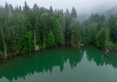 Borcka Karagöl ( Karagöl ) ( Artvin ili