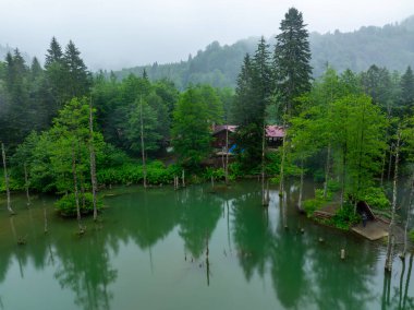 Borcka Karagöl ( Karagöl ) ( Artvin ili