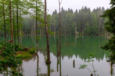Borcka Karagöl ( Karagöl ) ( Artvin ili