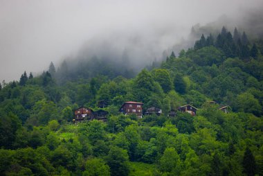 Rize 'nin Senyuva kasabasındaki eski ahşap evler ve Kackar Dağları
