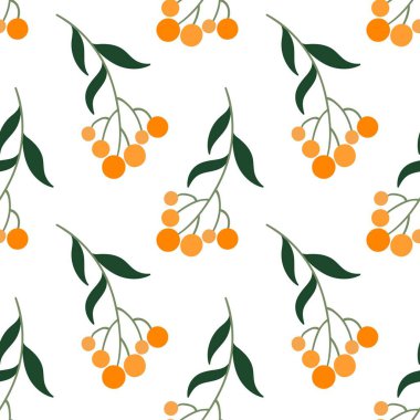 Portakal böğürtlenli süslü dallar. Çiçeksiz desen