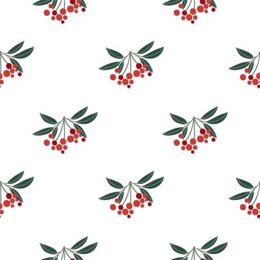 Parlak kırmızı olgun dut kümeleri. Çiçeksiz kış deseni. 