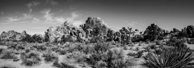 Joshua Tree Ulusal Parkı, California 'da popüler bir yer.