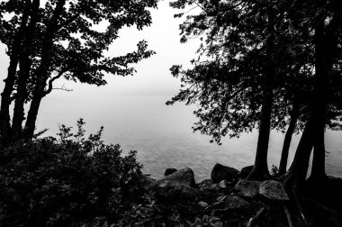 ABD 'nin Maine eyaletindeki Acadia Ulusal Parkı' nda bulunan Jordan Pond 'un kenarındaki sisli bölgede. Yüksek kalite fotoğraf