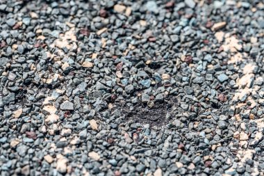 Macro of hail damage on a shingle residential roof circled with a chalk outline during a home inspection. High quality photo