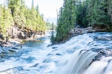Cascades and rushing water in Avalanche Creek at Glacier National Park, Montana. . High quality photo
