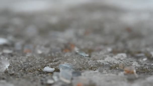 Makroebene Nahaufnahme Der Eisschmelze Von Steinsalz Auf Beton Mit Schnee — Stockvideo