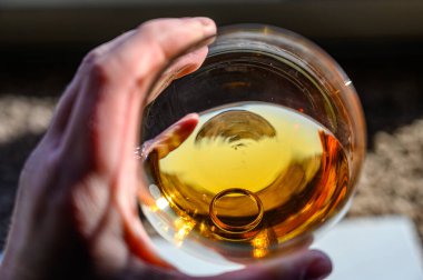 Kafkas eli, altında alyans olan kehribar renkli bir sıvıyı tutuyor. Yüksek kalite fotoğraf