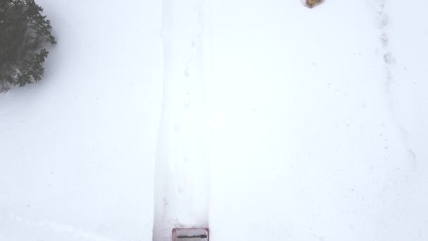 Вид Повітря Сніг Дме Житловий Тротуар Високоякісні Кадри — стокове відео