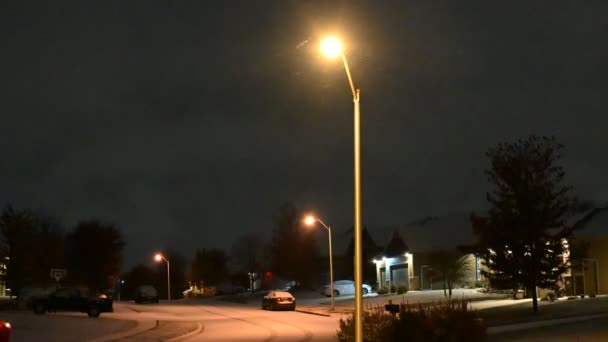 Λάμπα Του Δρόμου Νύχτα Φυσάει Χιόνι Που Διέρχεται Όμως Υψηλής — Αρχείο Βίντεο