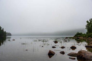 ABD 'nin Maine eyaletindeki Acadia Ulusal Parkı' nda bulunan Jordan Pond 'un kenarındaki sisli bölgede. Yüksek kalite fotoğraf