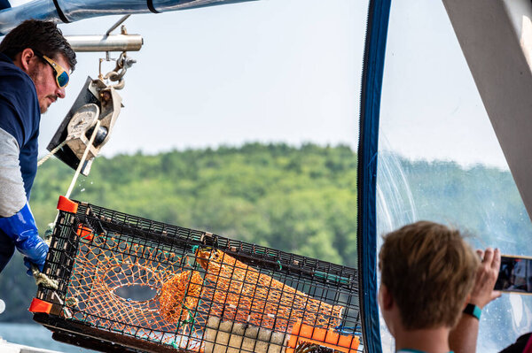 Акадия, штат Мэн, США - 8.2021 - сотрудник компании Bar Harbor Wale Watch Company вытягивает кастрюлю с лобстером на лодку. - Да. Высокое качество фото