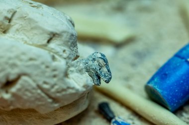 Gençlik eğlencesi için kazı aletleri olan Paris dinozor yumurtaları. Yüksek kalite fotoğraf