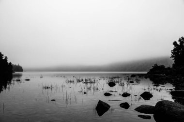 ABD 'nin Maine eyaletindeki Acadia Ulusal Parkı' nda bulunan Jordan Pond 'un kenarındaki sisli bölgede. Yüksek kalite fotoğraf