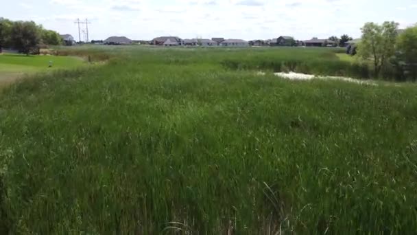 在房屋发展之间的排水区中的沼泽湿地和尾翼上方俯瞰 是的高质量的4K镜头 — 图库视频影像