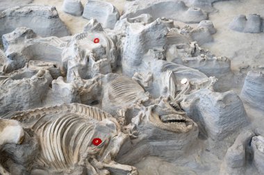 Nebraska 'nın Antelope ilçesindeki Ashfall Fossil Devlet Yatakları Tarihi Parkı' nda panoramik bir manzara. Yüksek kalite fotoğraf