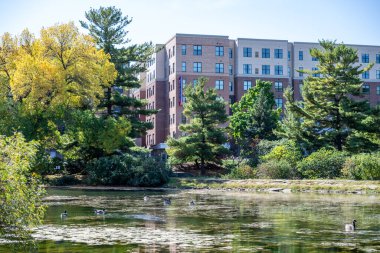 Ames, IA, ABD - 10.1.2023: LaVerne Gölü, Iowa Eyalet Üniversitesi kampüsü. Yüksek kalite fotoğraf