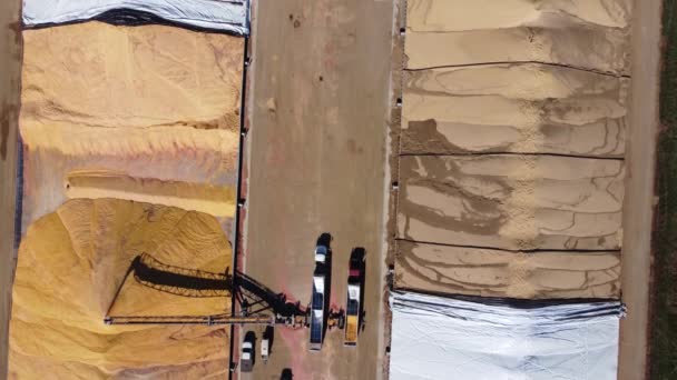 Вид Беспилотника Над Двумя Грудами Зерна Заполняемыми Закрываемыми Высококачественные Кадры — стоковое видео