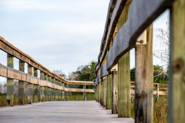 Everglades Ulusal Parkı 'ndaki Pa-Hay-Okee Gözcü Kulesi' ne. Yüksek kalite fotoğraf