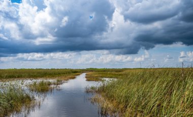 Florida Everglades otlaklarının üzerindeki bulutlu gökyüzü. Yüksek kalite fotoğraf
