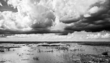Florida Everglades otlaklarının üzerindeki bulutlu gökyüzü. Yüksek kalite fotoğraf